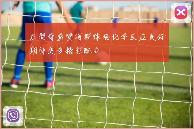 东契奇盛赞海斯球场化学反应良好期待更多精彩配合